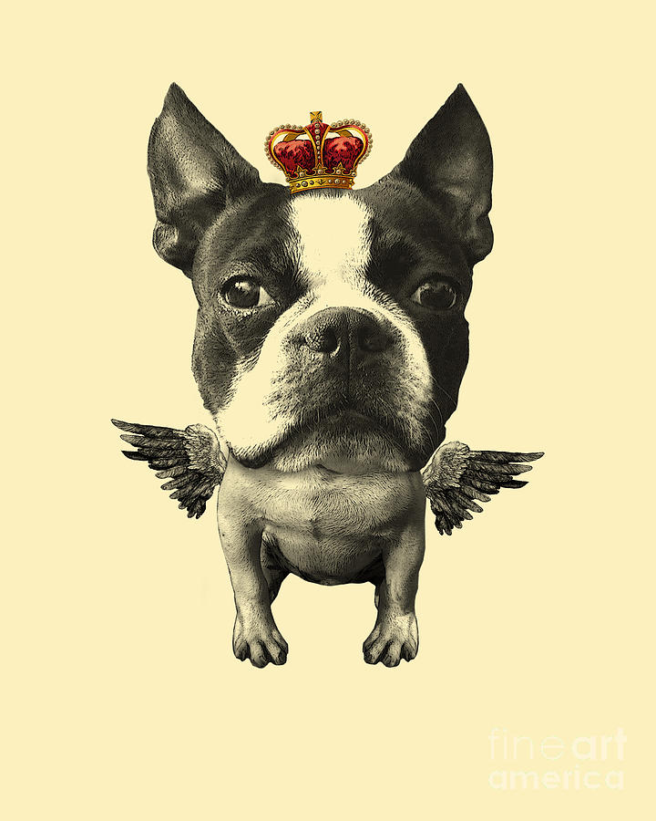 Dog Digital Art - Cute flying boston terrier by Madame Memento