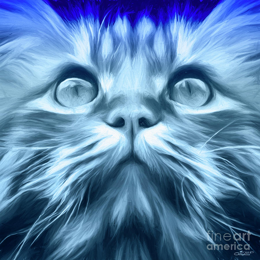 Cute Kitten Digital Art by Jutta Maria Pusl