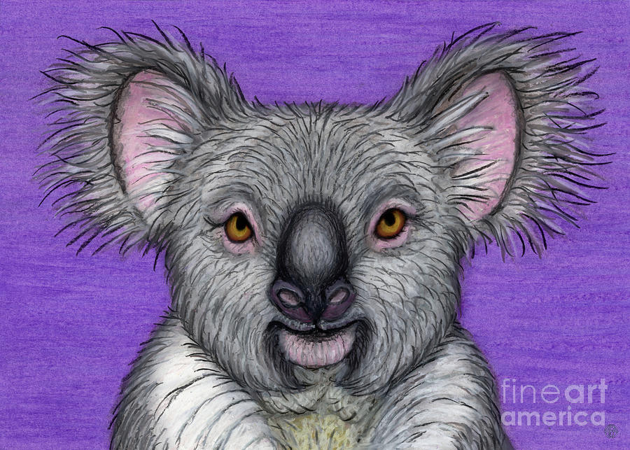 Cute Koala Painting by Amy E Fraser