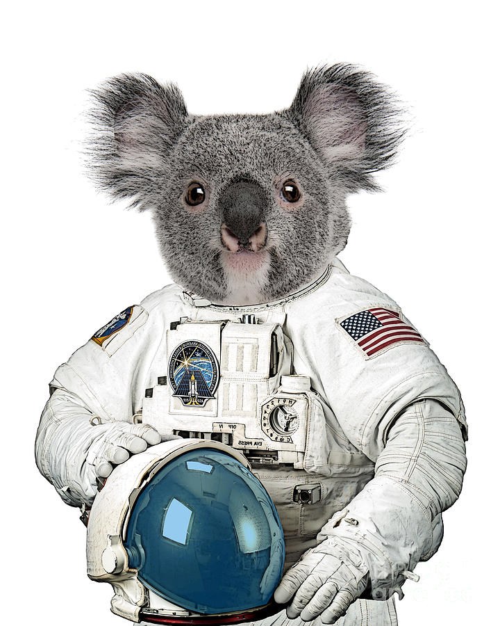 Cute Koala Bear Astronaut Digital Art by Madame Memento - Pixels