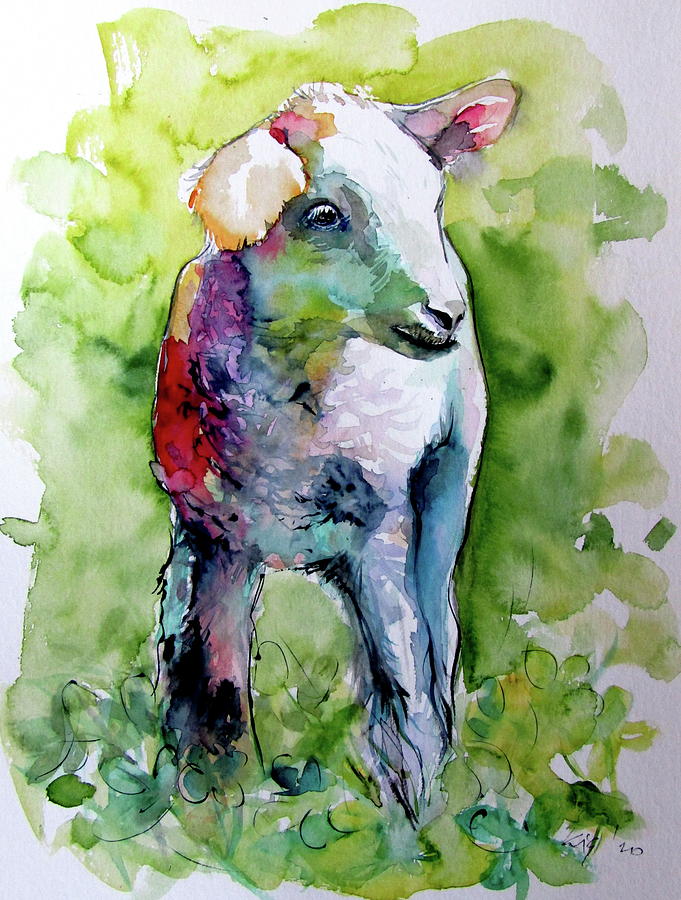 Cute lamb Painting by Kovacs Anna Brigitta