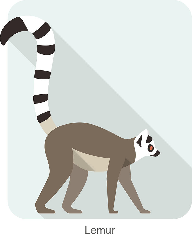 Cute lemur walking on the ground, vector Drawing by Hakule