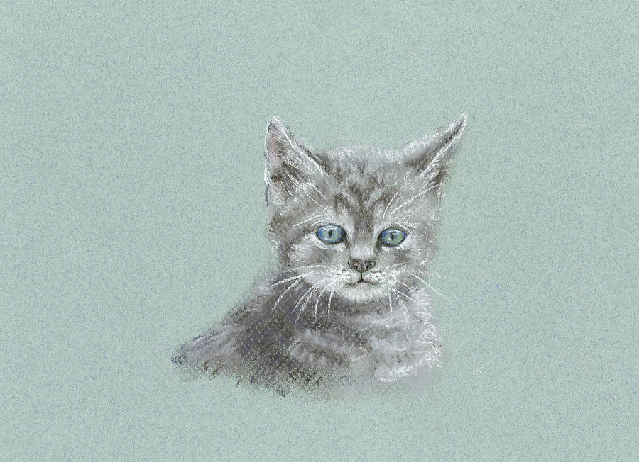 Cute little cat pastel painting Painting by Karen Kaspar