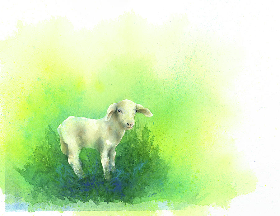 Cute little lamb watercolor painting Painting by Karen Kaspar