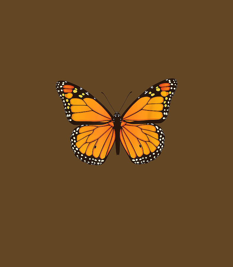 Butterfly Digital Art - Cute Monarch Butterfly by Dominic Cacey