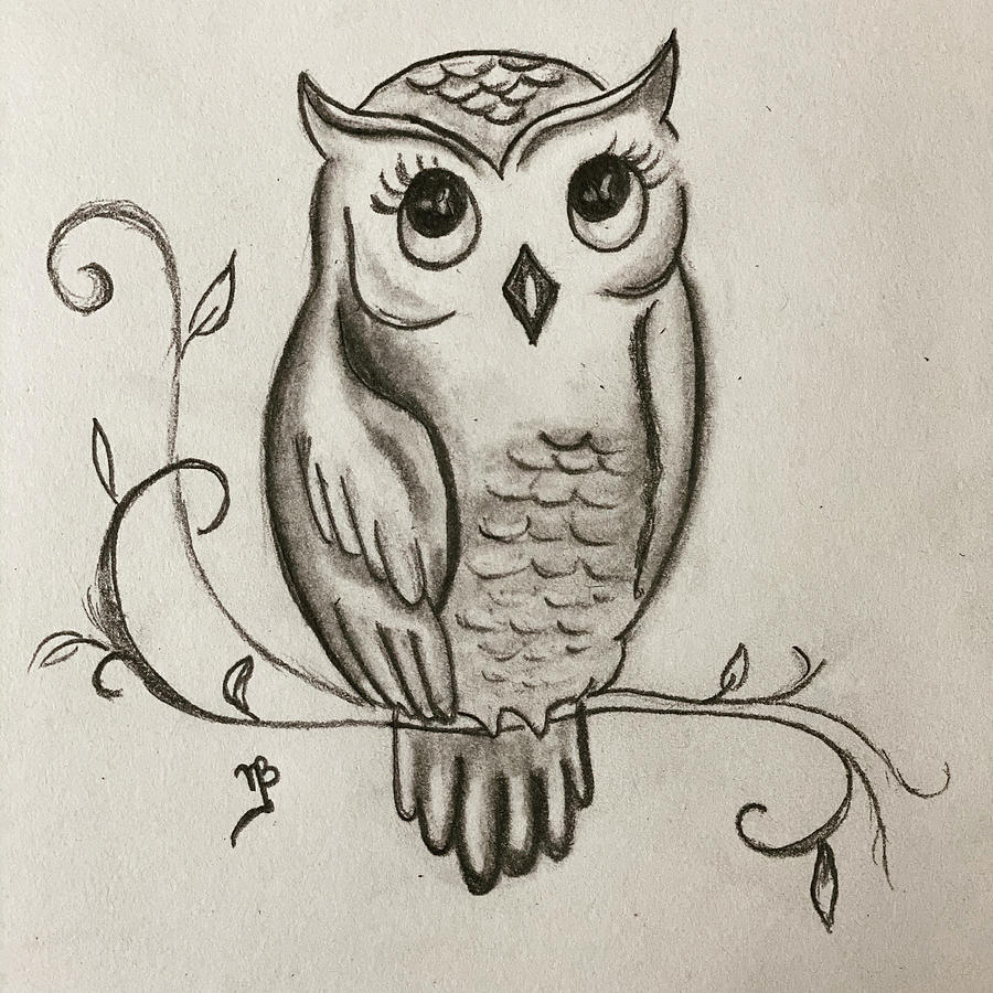 Cute Owl Drawing by Nikhil Bhola Pixels
