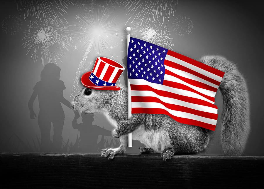 Cute Patriotic American Squirrel  Digital Art by Doreen Erhardt