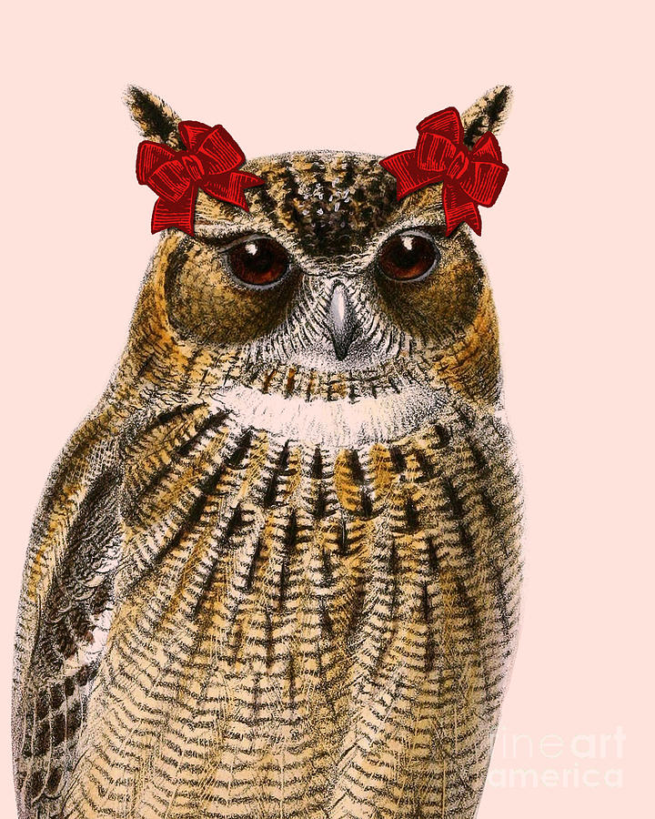 Owl Mixed Media - Cute Ponytail Owl by Madame Memento