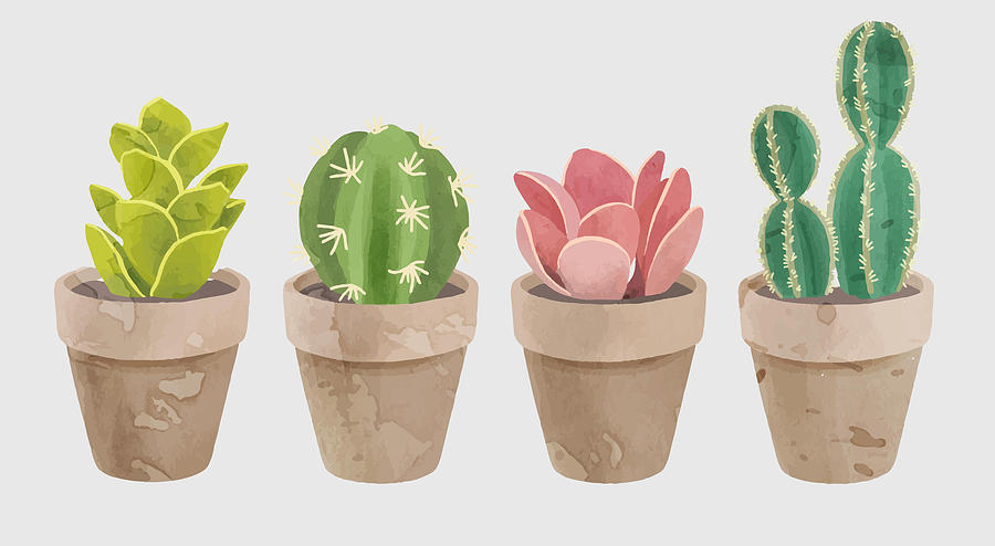 Cute Potted Succulent And Cactus Painting by Tony Rubino