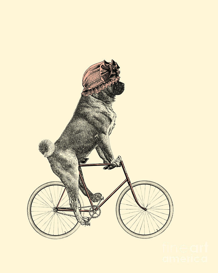 Pug Digital Art - Cute Pug Dog Cyclist by Madame Memento