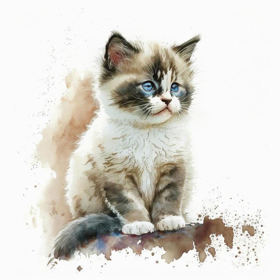 Ragdoll Cat - Watercolor paint Kids T-Shirt for Sale by