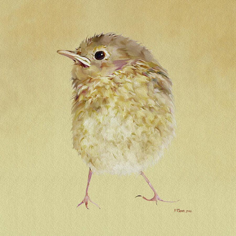 Cute Robin Fledgeling Digital Art by Bamalam Art Cute Robin Fledgeling Digital Art by Bamalam Art
