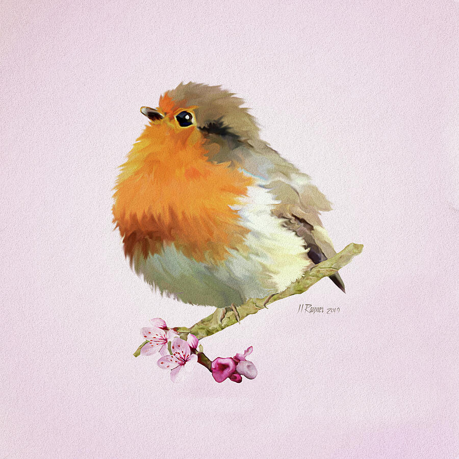 Cute Robin with Apple Blossom 1 Digital Art by Bamalam Art Cute Robin with Apple Blossom 1 Digital Art by Bamalam Art