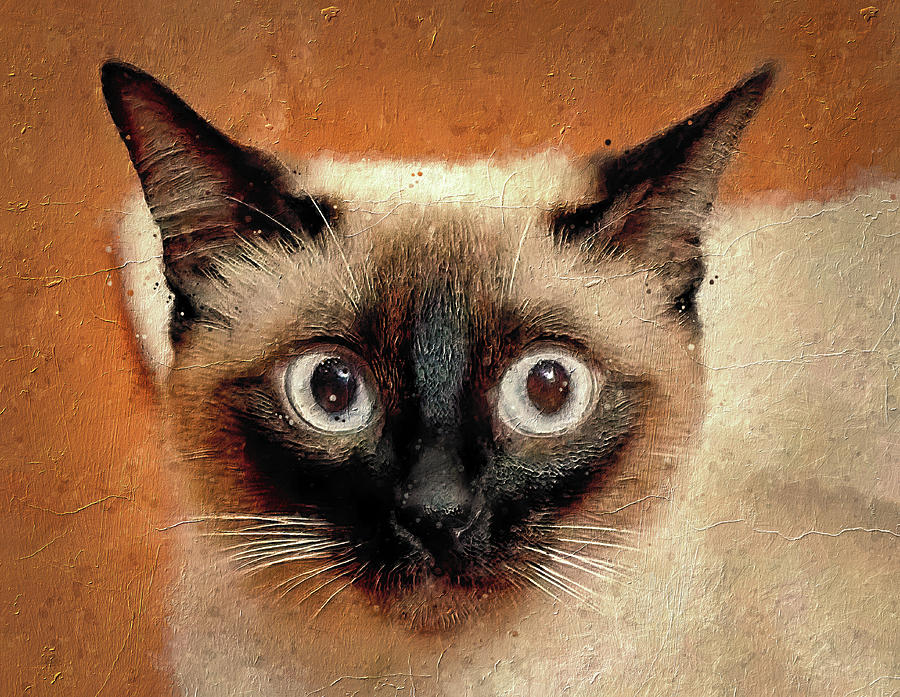 Cute Siamese cat head - digital painting Digital Art by Nicko Prints