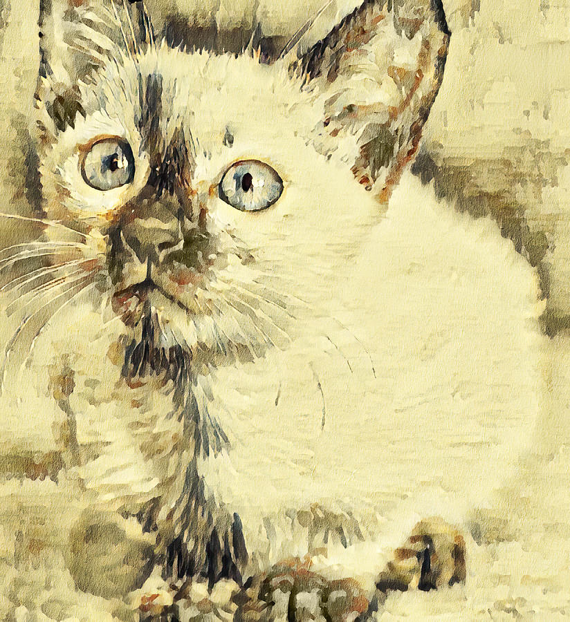 Cute Siamese kitten sitting - vanilla and double colonial white Digital Art by Nicko Prints