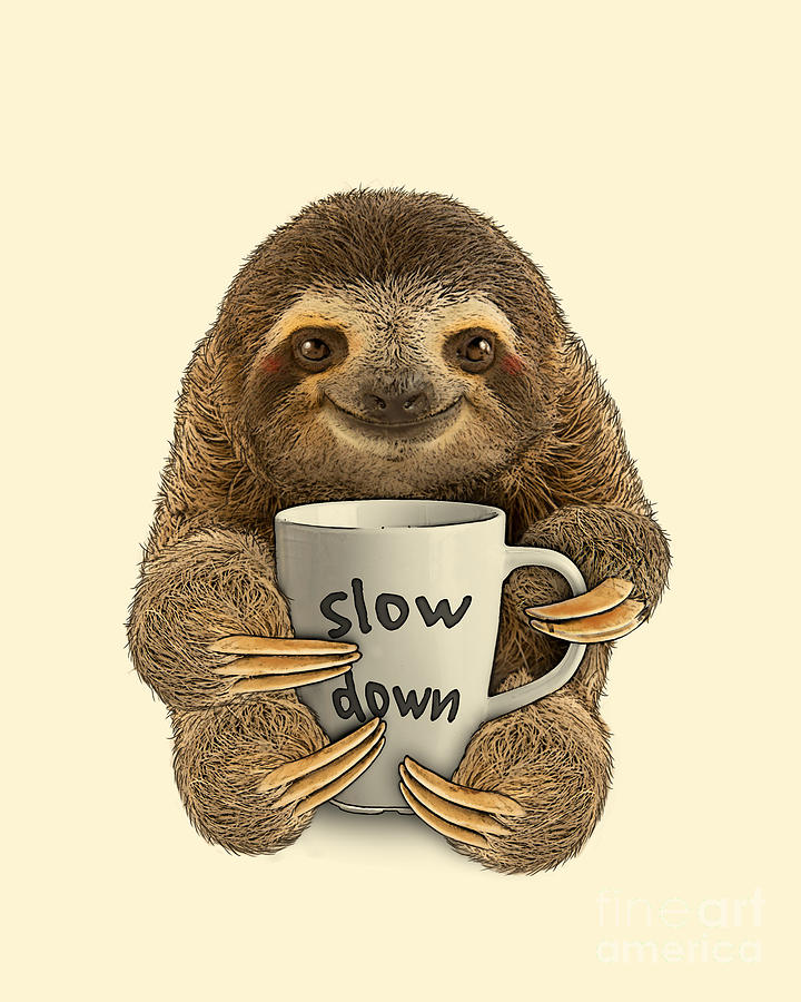 Coffee Digital Art - Cute Sloth With Slow Down Mug by Madame Memento