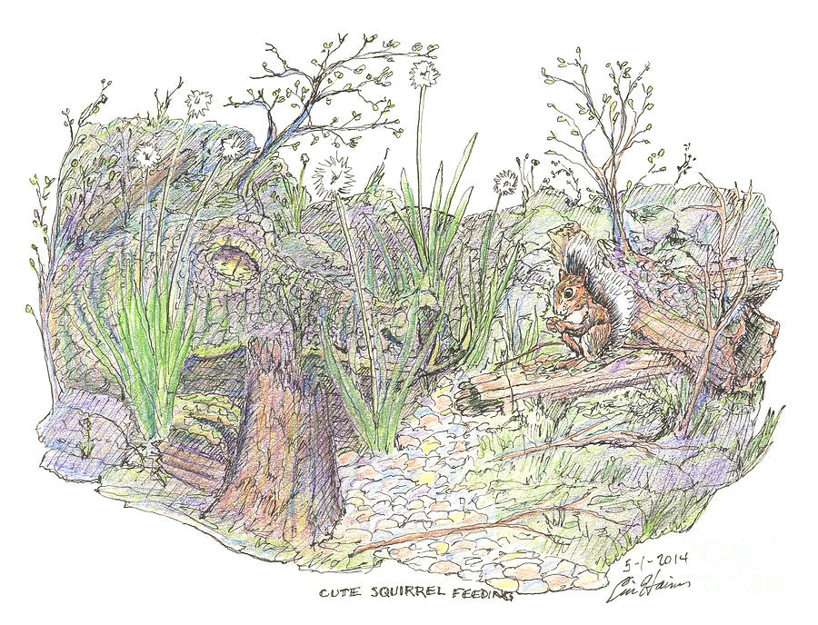 Crocodile Drawing - Cute Squirrel Feeding by Eric Haines
