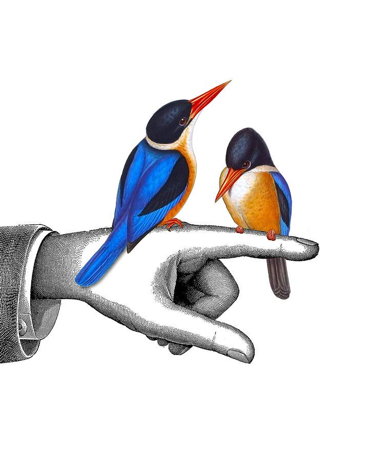 Kingfisher Digital Art - Cute Together by Madame Memento