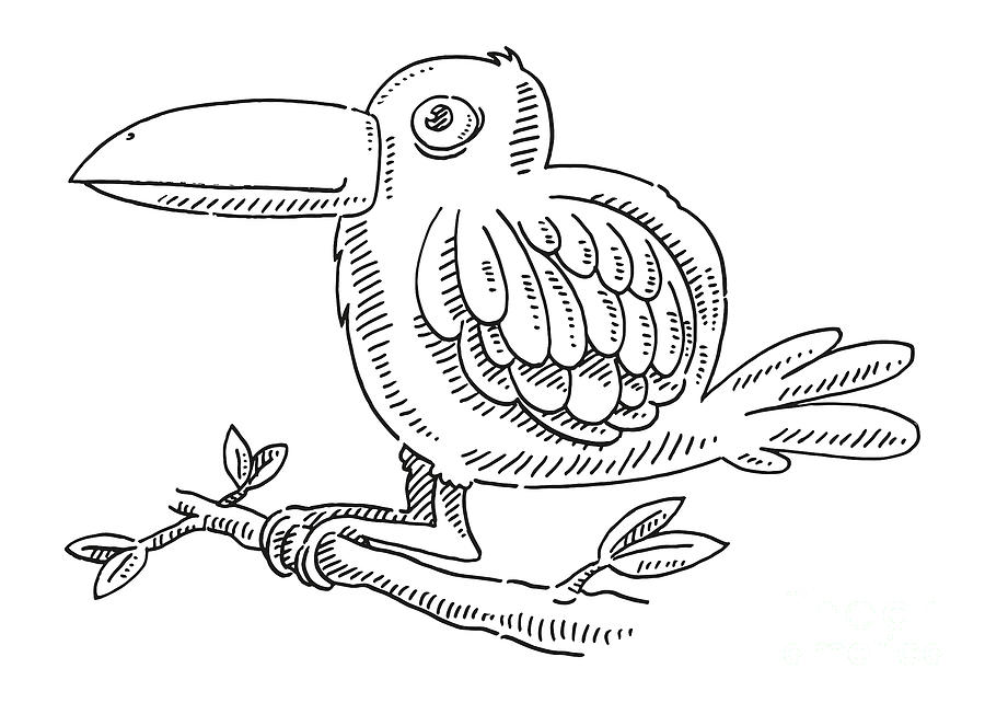Cute Tropical Cartoon Bird Drawing Drawing by Frank Ramspott - Pixels