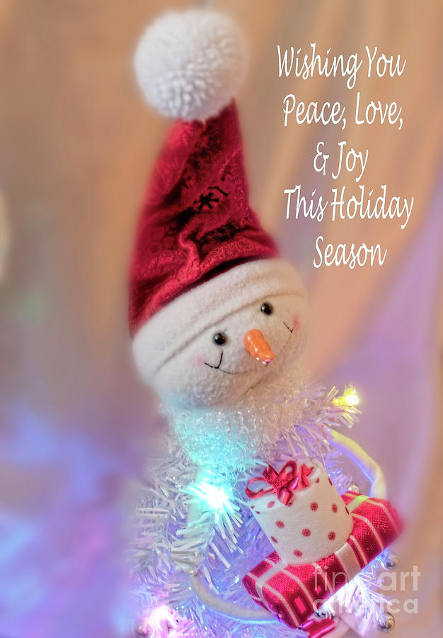 Cutest Snowman Christmas Card Photograph by Janie Johnson