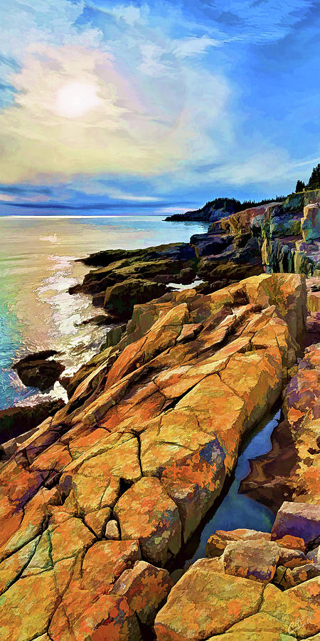 Maine Seascape Photograph - Cutler Coast Lichen by ABeautifulSky Photography by Bill Caldwell