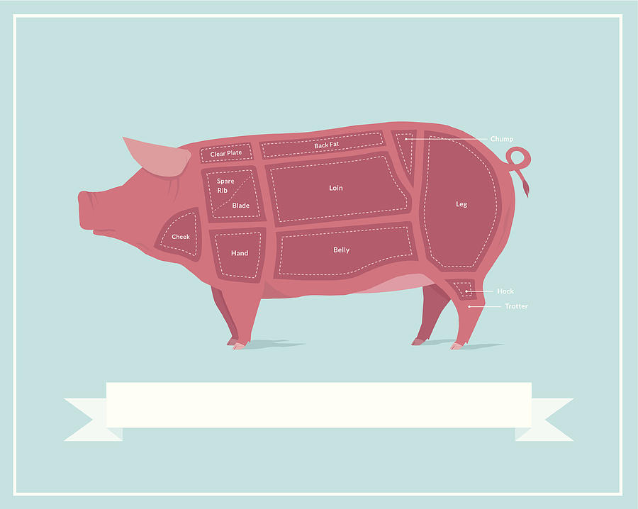 Cuts of Pork Drawing by Wetcake