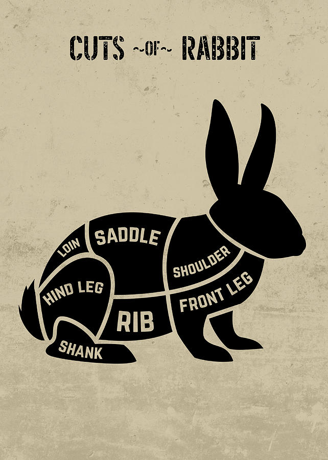 Cuts of Rabbit BW Version Chart Butcher Meat Restaurant and Fine Dining