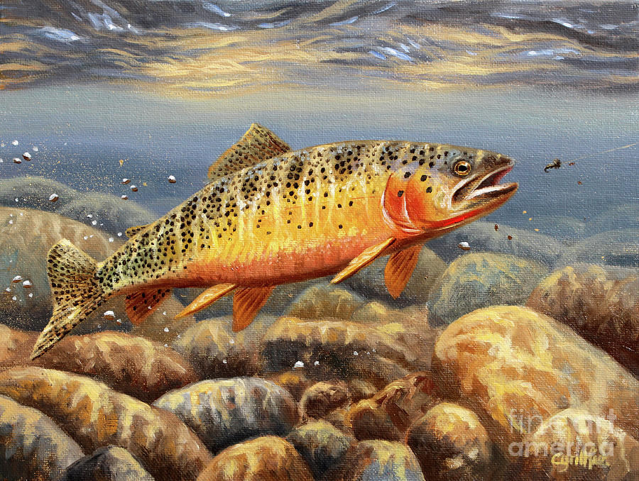 Cutthroat Trout Painting by Cynthie Fisher
