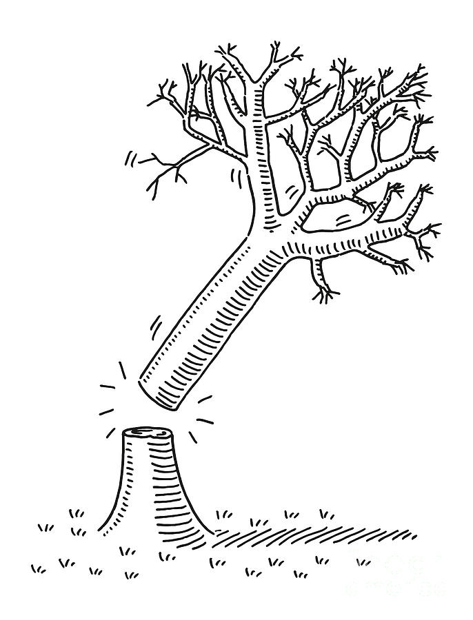 Black And White Drawing - Cutting Down A Tree Drawing by Frank Ramspott