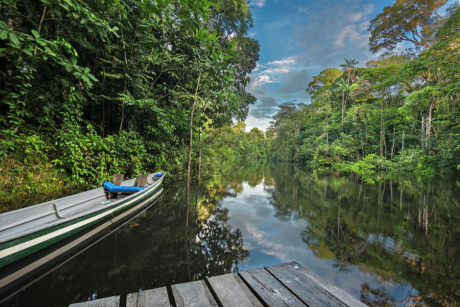 Cuyabeno river pontoon and canoe Photograph by Henri Leduc