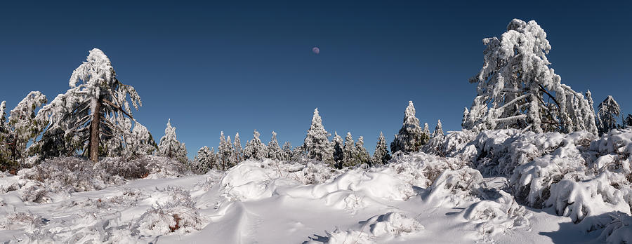 Cuyamaca Peak Blanketed in Snow Photograph by William Dunigan - Pixels