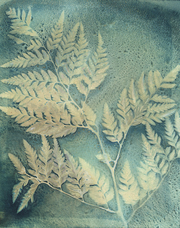 Cyanotype 20 Digital Art by Denise Love - Fine Art America