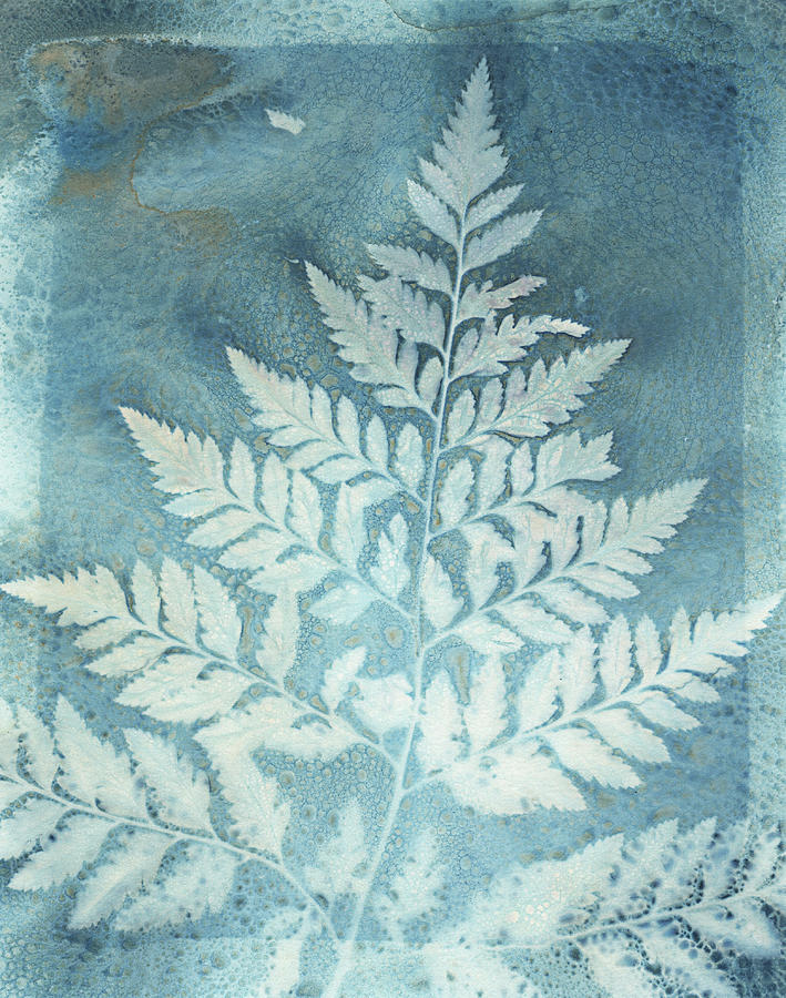 Cyanotype 5 Photograph by Denise Love - Fine Art America