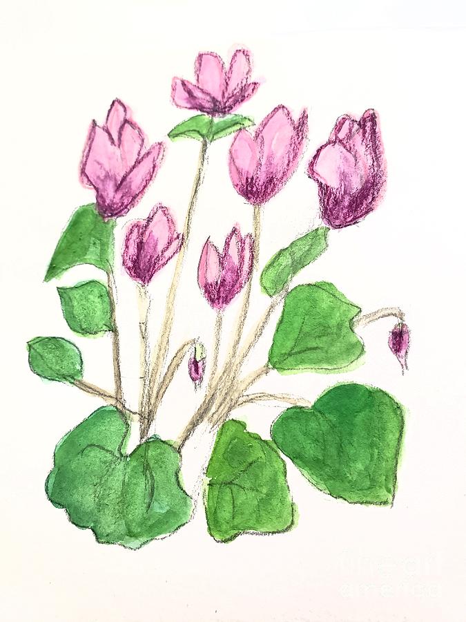 Cyclamen  Painting by Margaret Welsh Willowsilk