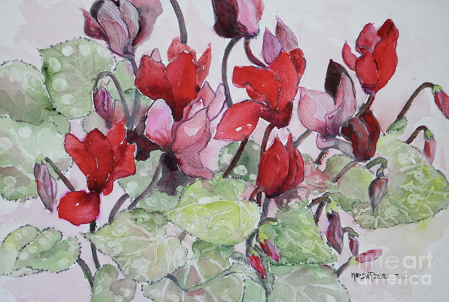 Winter Painting - Cyclamen by Marsha Reeves