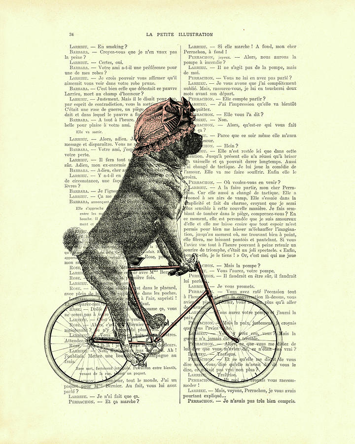 Pug Mixed Media - Cycling Pug  by Madame Memento