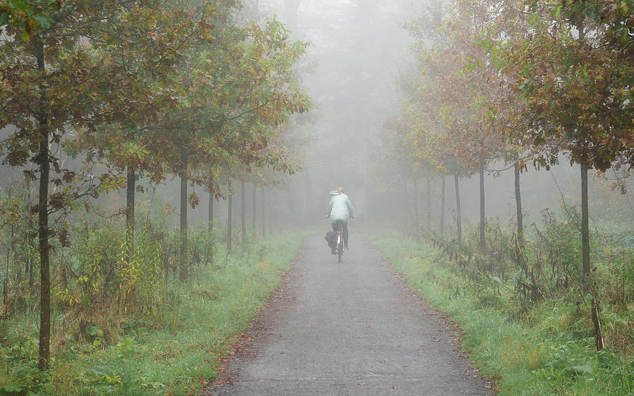 Cyclist in the mist Photograph by Anges Van der Logt