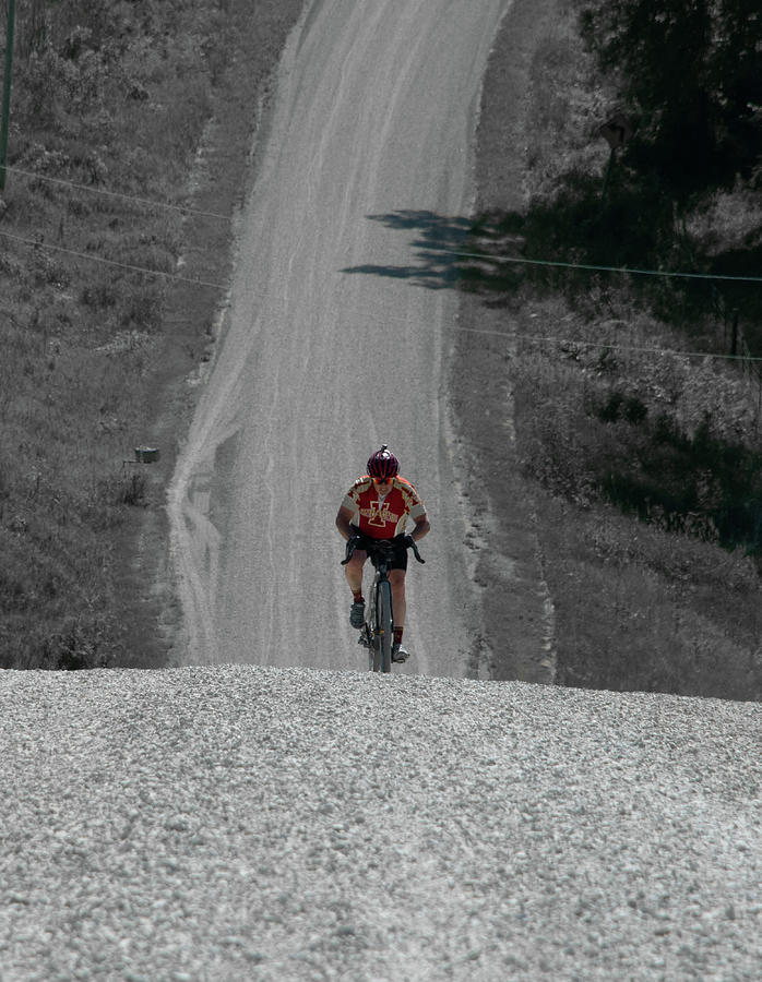 Cyclist Photograph by Phil S Addis
