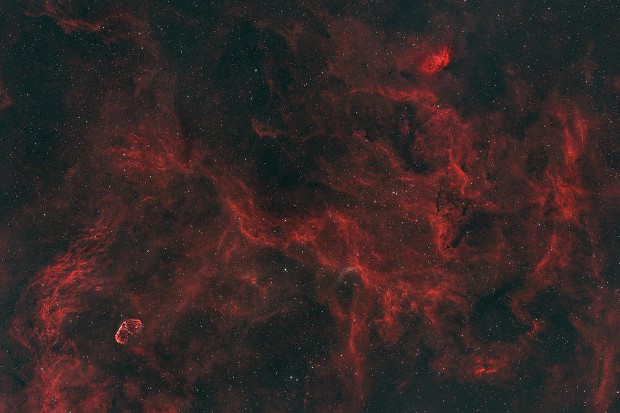 Cygnus Molecular Cloud Photograph by Timothy McIntyre