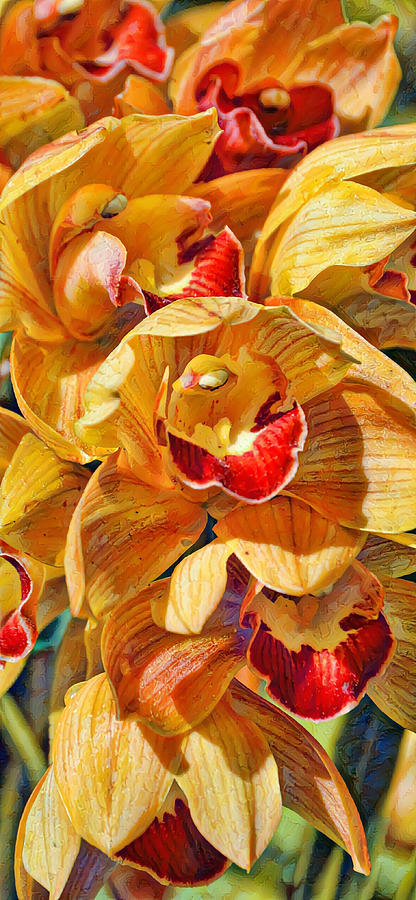 Cymbidium Orchids Vertical Panorama Digital Art by Gaby Ethington