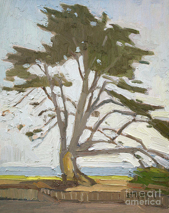 Cypress at Seagrove Park - Del Mar, California Painting by Paul Strahm