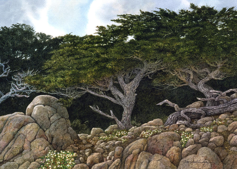 Cypress Grove Painting by Tom Wooldridge