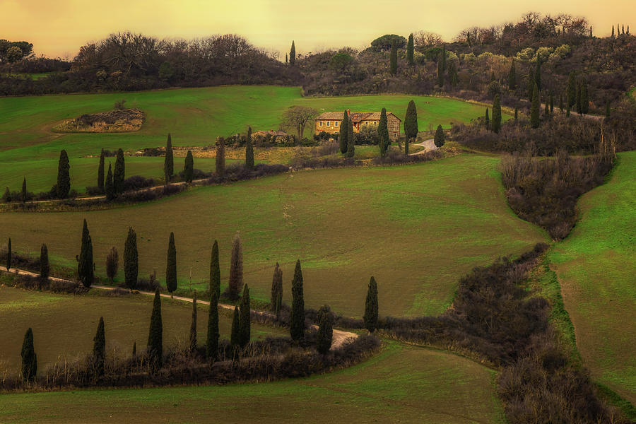 Cypress Road Val dOrcia - Tuscany - Italy Photograph by Joana Kruse