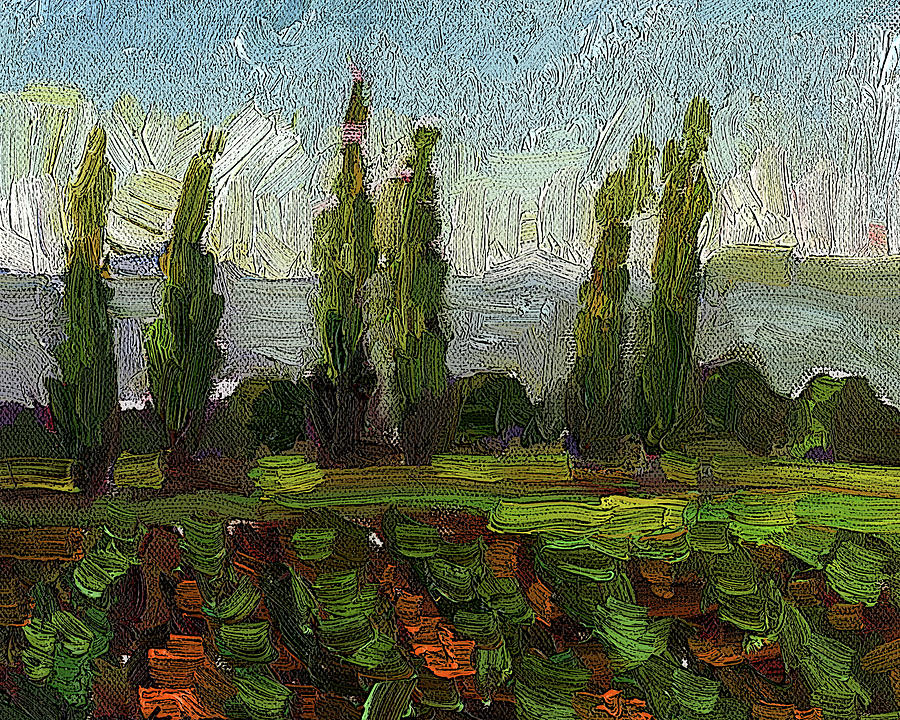 Cypress Painting - Cypress by Sally Rosenbaum