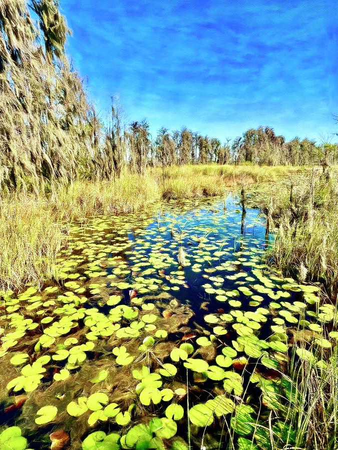 Lily Digital Art - Cypress Swamp and Lily Pads by Pamela Storch