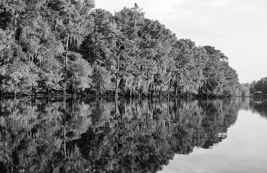 Cypress Trees and Spanish Moss Reflection While Canoeing Caddo Lake Texas Black and White Photograph by Shawn OBrien