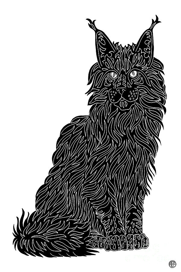 Cyrus. Black Cat Ink  Drawing by Amy E Fraser
