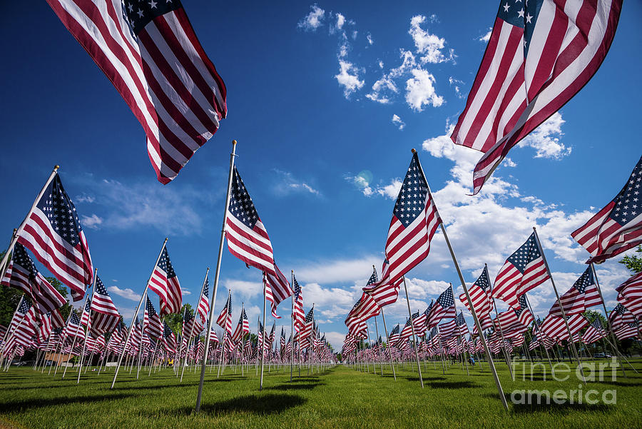 VE-Day Memorial American Flags 2 Photograph by Gary Whitton