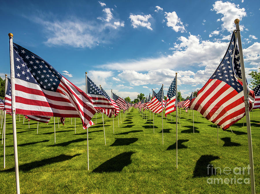 VE-Day Memorial American Flags Photograph by Gary Whitton