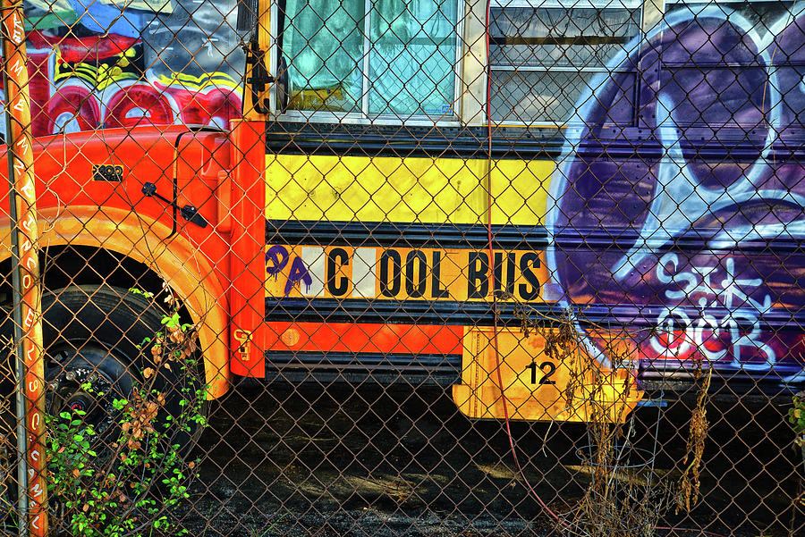 Da Cool Bus Photograph by Mark Bloom